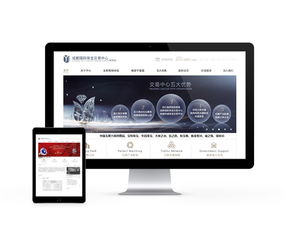 先鋒時(shí)代 成都互動(dòng)多媒體設(shè)計(jì)與網(wǎng)站建設(shè)的融合與創(chuàng)新